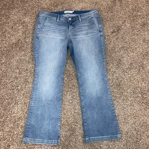 Torrid Jeans